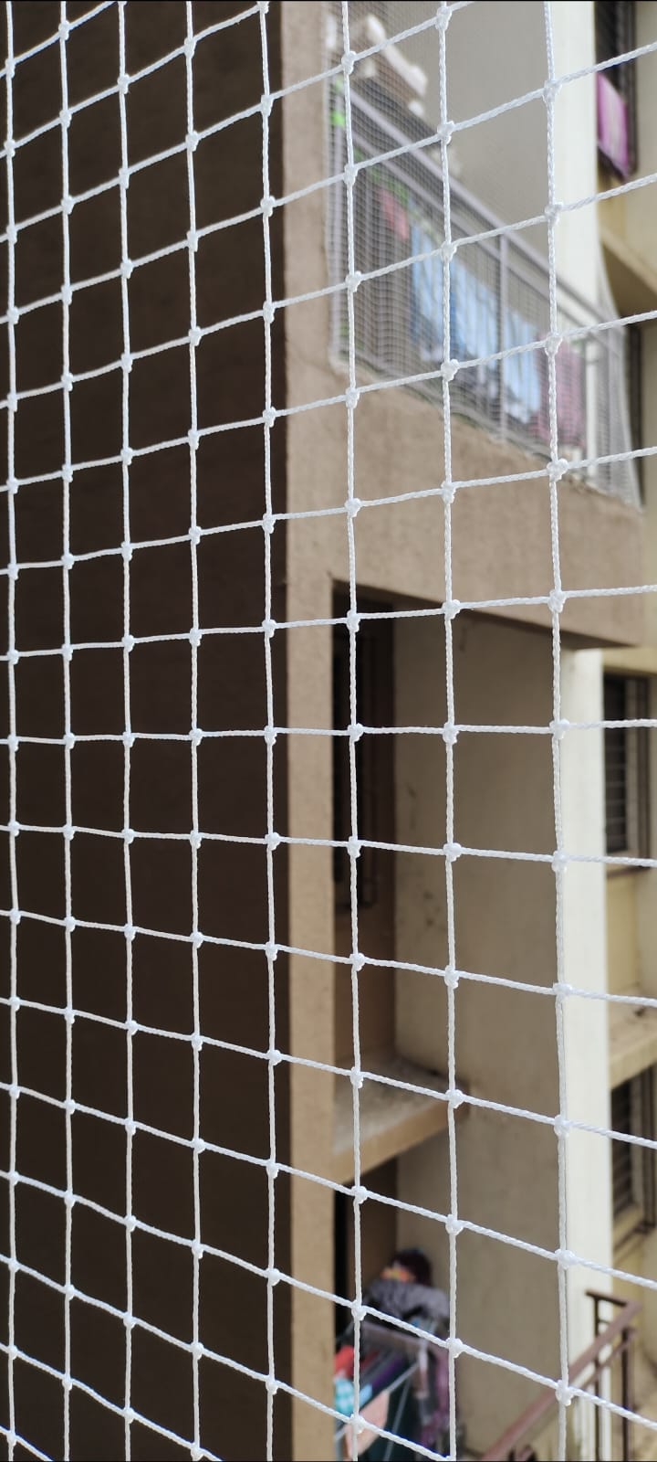 Cricket Nets